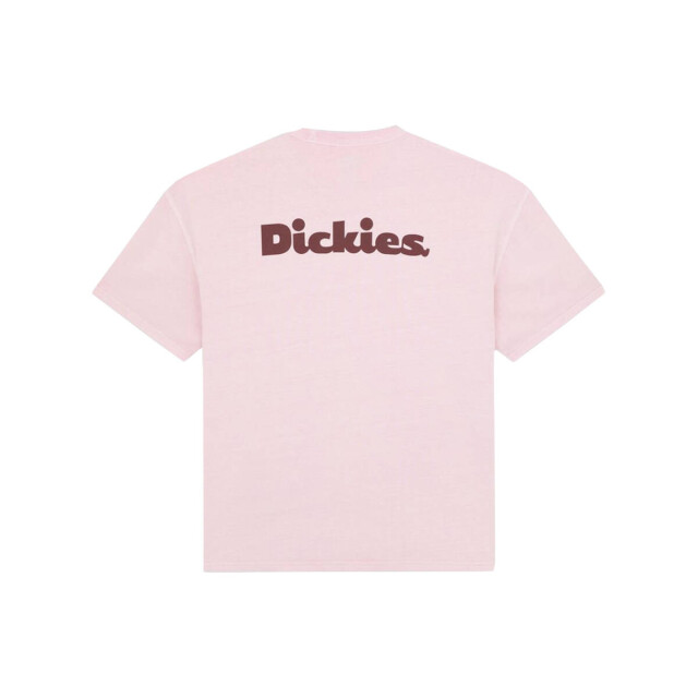 Dickies T-shirt korte mouw dk0a87qrk731 Dickies T-shirt korte mouw DK0A87QRK731 large