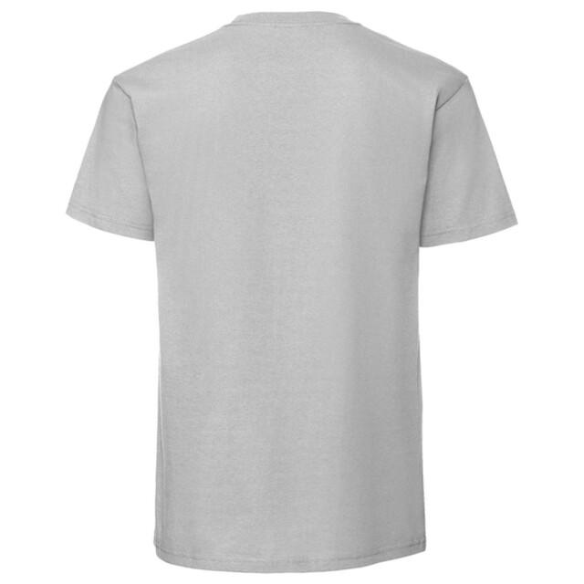 Fruit of the Loom Unisex volwassen iconic 195 t-shirt UTLT6282_zincsolid large