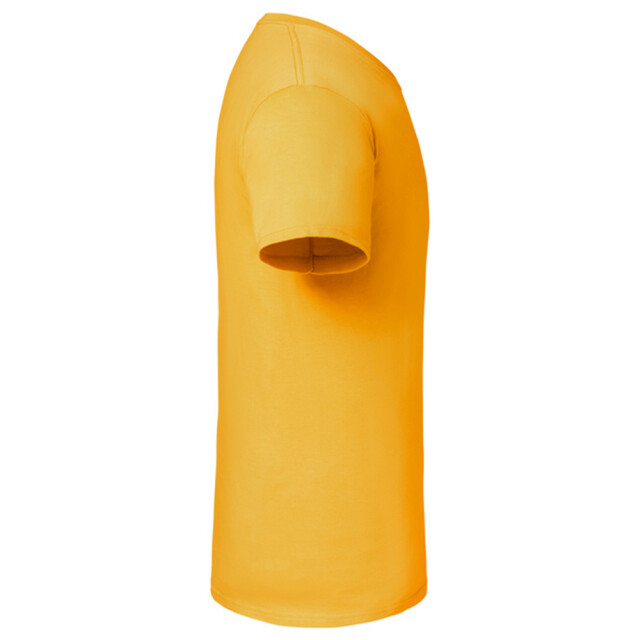 Fruit of the Loom Unisex volwassen iconic 195 t-shirt UTLT6282_sunflower large