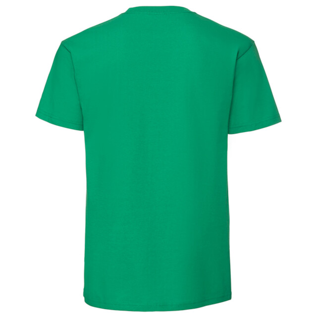Fruit of the Loom Unisex volwassen iconic 195 t-shirt UTLT6282_kellygreen large