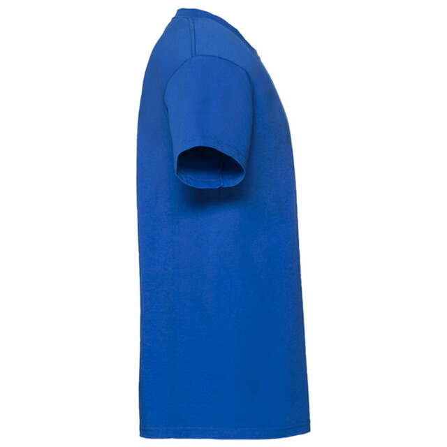 Fruit of the Loom Unisex volwassen iconic 195 t-shirt UTLT6282_royalblue large