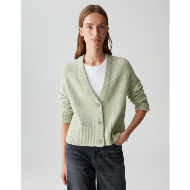 Opus dassi 10460813461100 dassi 30041 soft matcha 06741.369.0124 large Opus dassi 10460813461100 dassi 30041 soft matcha 06741.369.0124 large
