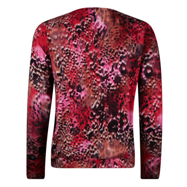 Roberto Sarto Top lange mouw 531197 Roberto Sarto Top lange mouw 531197 large