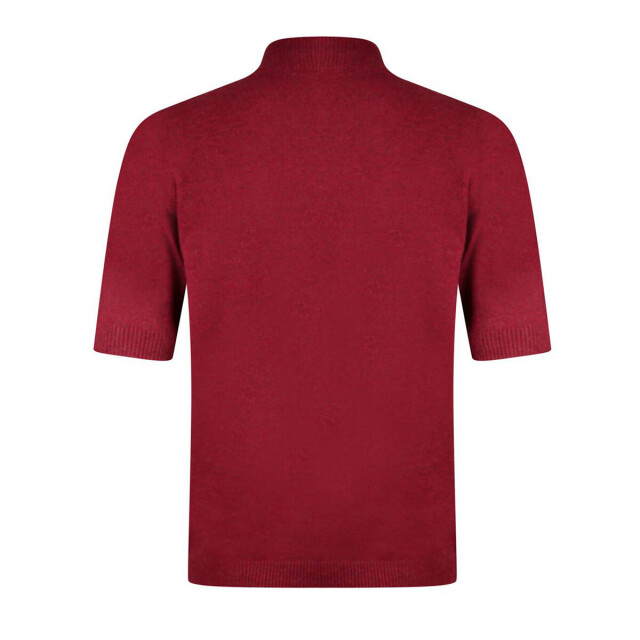 Roberto Sarto Pullover 531254 Roberto Sarto Top korte mouw 531254 large