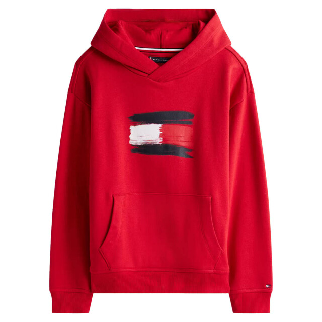 Tommy Hilfiger Sweat kb0kb10112 Tommy Hilfiger Hoodie KB0KB10112 large