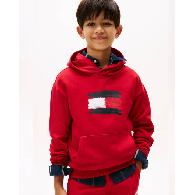 Tommy Hilfiger Sweat kb0kb10112 Tommy Hilfiger Hoodie KB0KB10112 large