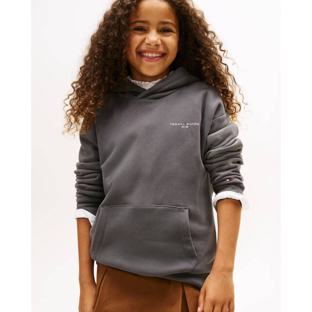 Tommy Hilfiger Sweat ks0ks00660 Tommy Hilfiger Hoodie KS0KS00660 large