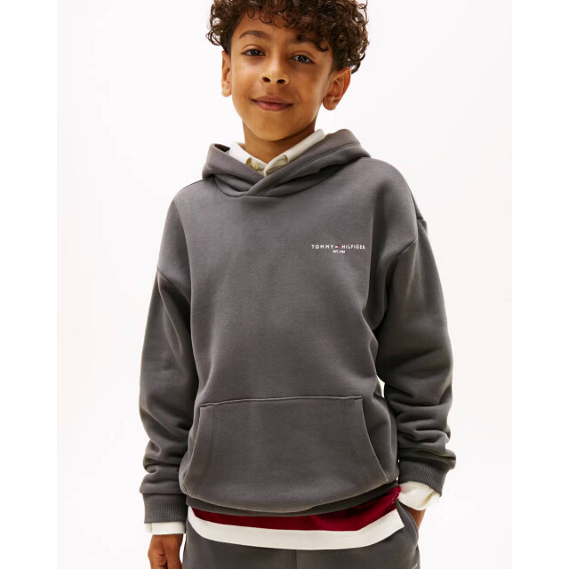 Tommy Hilfiger Sweat ks0ks00660 Tommy Hilfiger Hoodie KS0KS00660 large