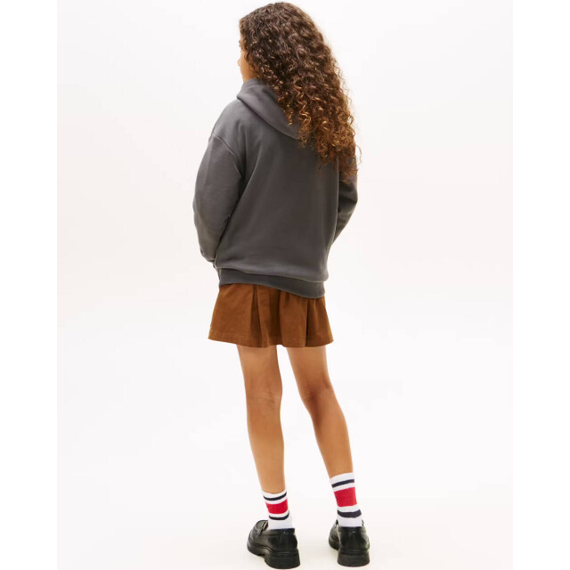 Tommy Hilfiger Sweat ks0ks00660 Tommy Hilfiger Hoodie KS0KS00660 large
