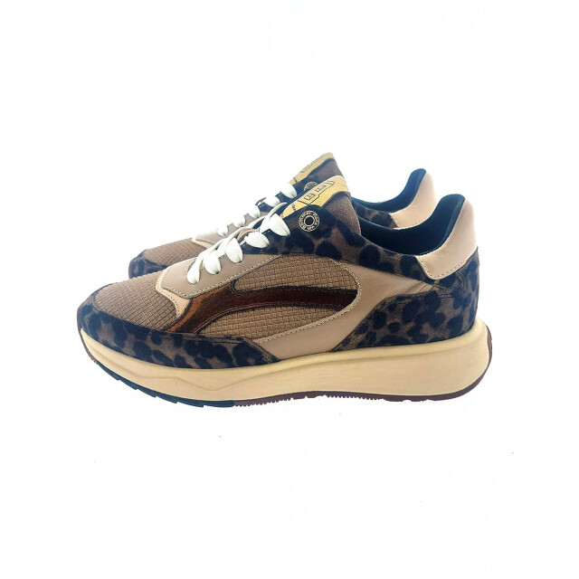 Floris van Bommel SFW-10138-34-01 Sneakers Taupe SFW-10138-34-01 large