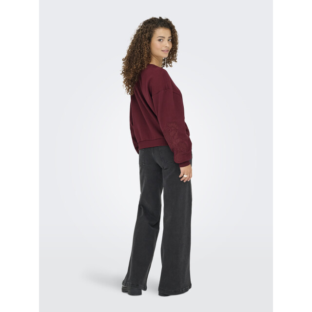 Only Onlbrooklyn l/s embroidery box swt 15355805 large