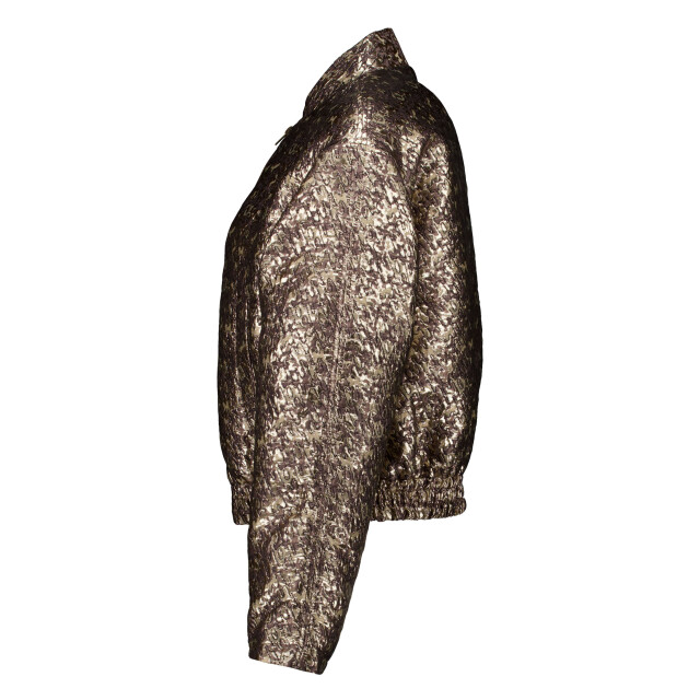 Femmes Du Sud Jk-0020 jackets paige metallic Paige Metallic large