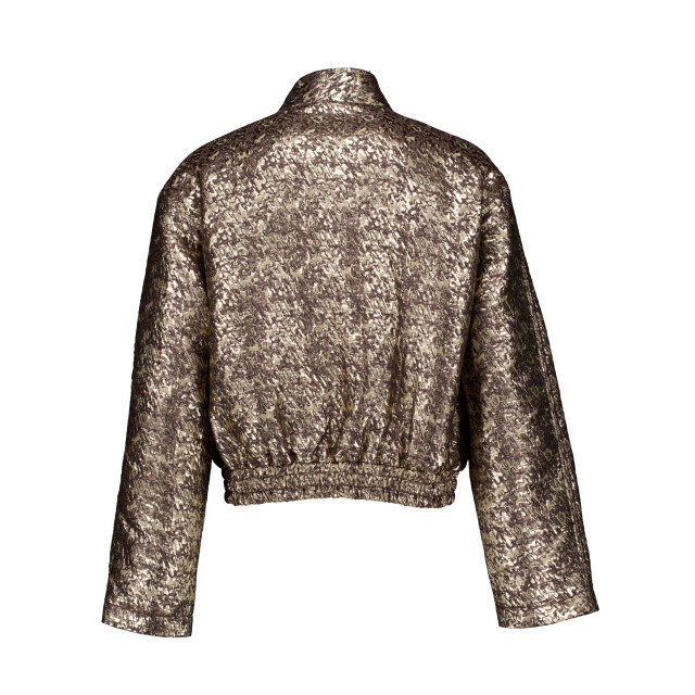Femmes Du Sud Jk-0020 jackets paige metallic Paige Metallic large