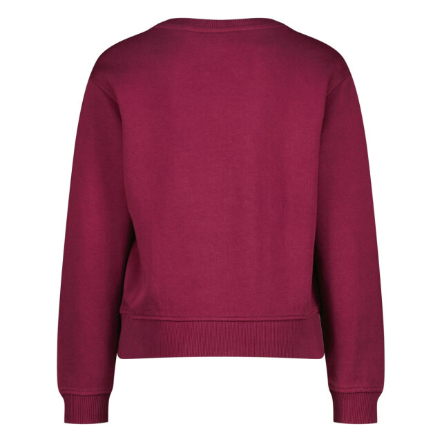 Vingino Vingino Sweat AW25KG340190 Sweaters Rood Vingino Sweat AW25KG340190 large