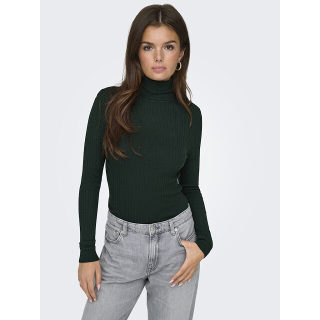 Only Onlkarol ls rollneck pullover knt noos donker 4219.27.0010 large Only Onlkarol ls rollneck pullover knt noos donker 4219.27.0010 large