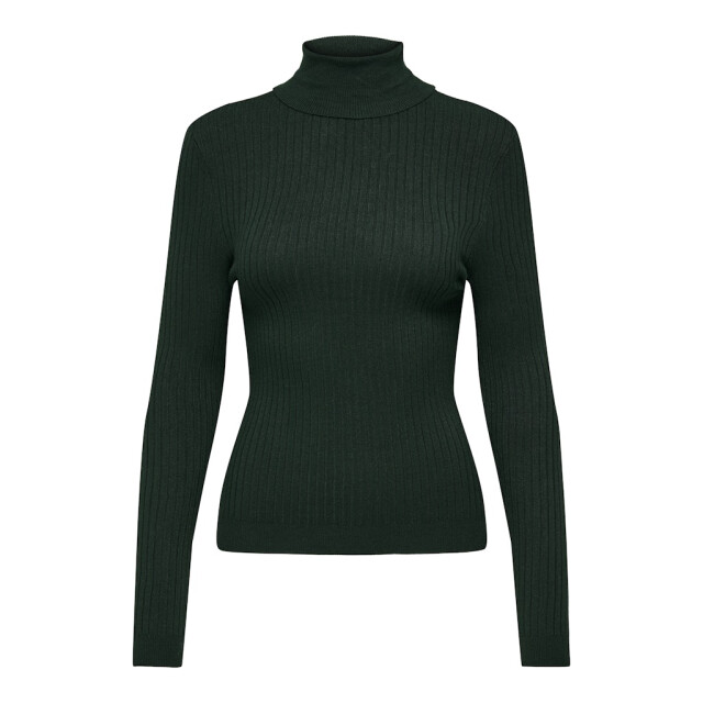 Only Onlkarol ls rollneck pullover knt noos donker 4219.27.0010 large Only Onlkarol ls rollneck pullover knt noos donker 4219.27.0010 large