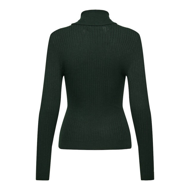 Only Onlkarol ls rollneck pullover knt noos donker 4219.27.0010 large Only Onlkarol ls rollneck pullover knt noos donker 4219.27.0010 large