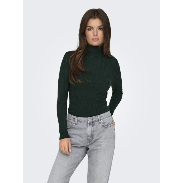 Only Onlkarol ls rollneck pullover knt noos donker 4219.27.0010 large Only Onlkarol ls rollneck pullover knt noos donker 4219.27.0010 large