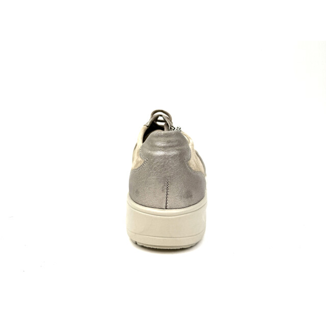 Solidus 29012-30752 29012-30752 large