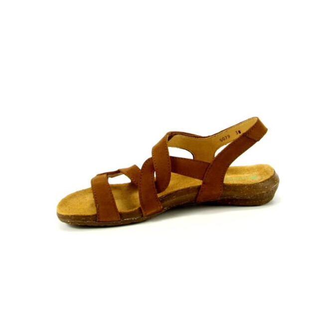 El Naturalista N5079 N5079 large