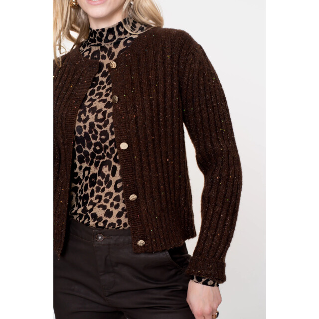 Geisha 54541-14 cardigan lurex & sequinces 54541-14 Cardigan lurex & sequinces large