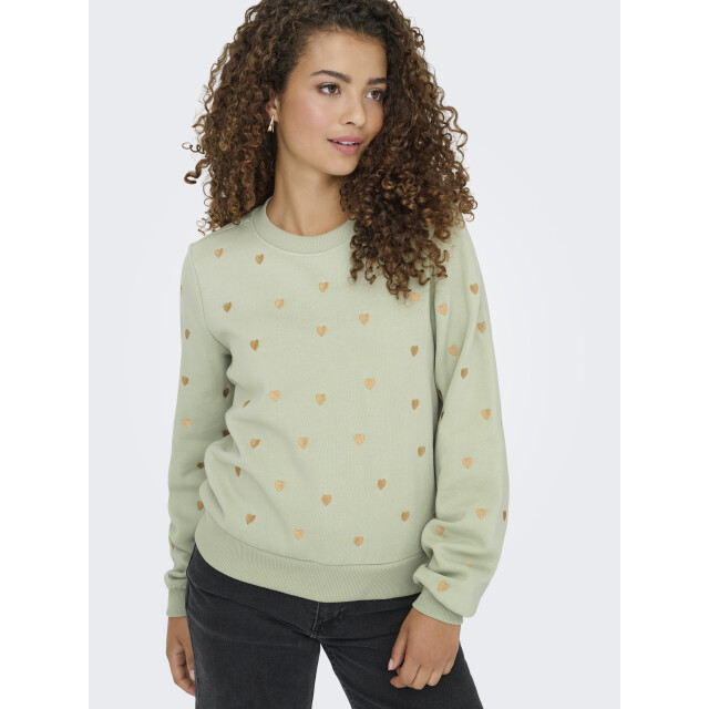 Only onlatika l/s o-neck glitter emb. bo 15355802 desert sage 06721.369.0049 large