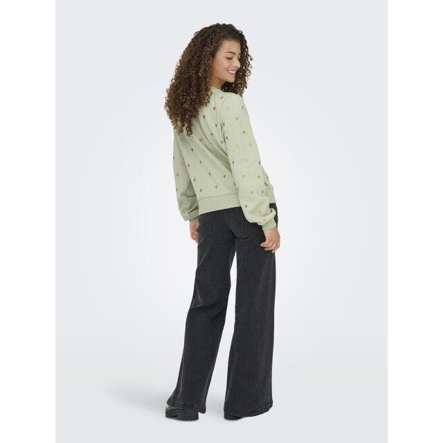 Only onlatika l/s o-neck glitter emb. bo 15355802 desert sage 06721.369.0049 large