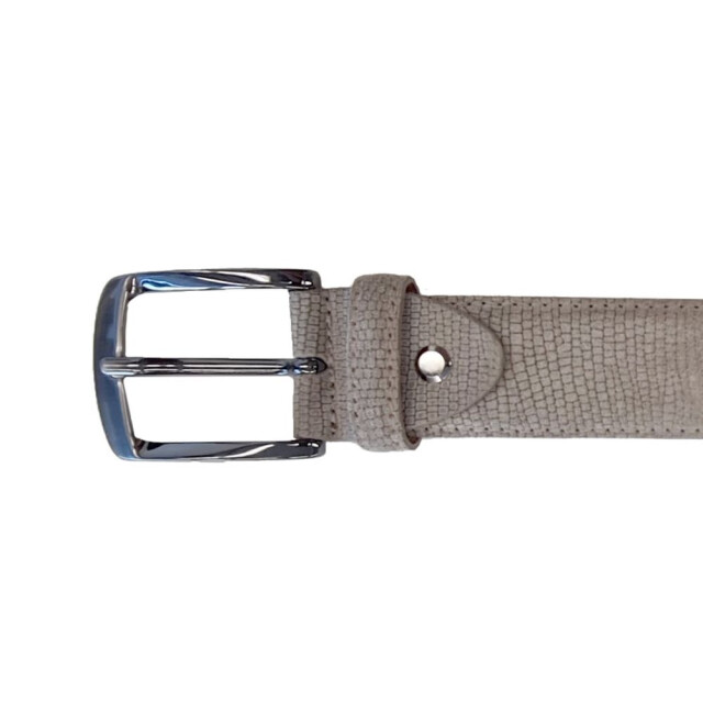 Rehab 8842253401-belt suede lizzard 4700-taupe 8842253401-Belt Suede Lizzard large