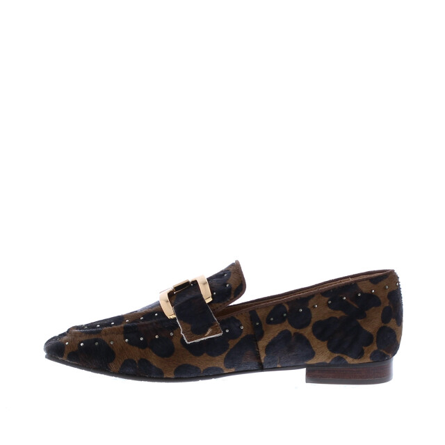 Di Lauro Catrina schakelbit | dames | | maat: | leer 110482 large