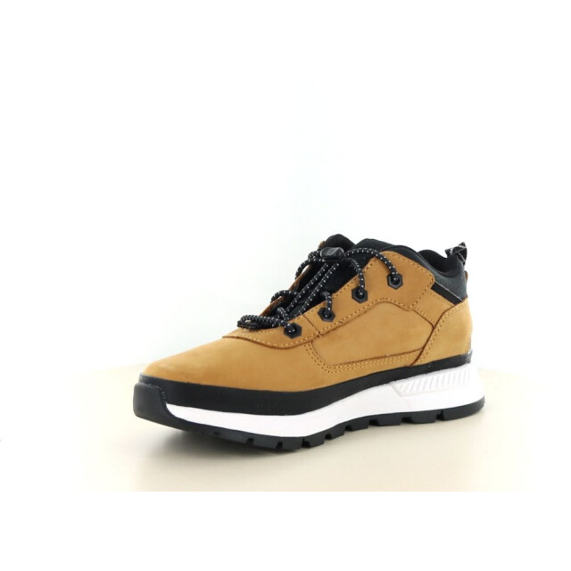 Timberland Field tracker low 461.90.242 large