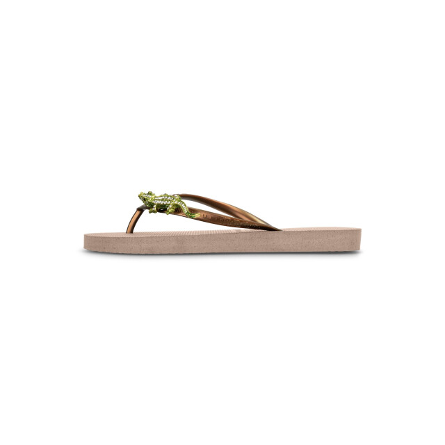 Uzurii Green crocodile switch zand 71855143181531549125192392038-261144 large