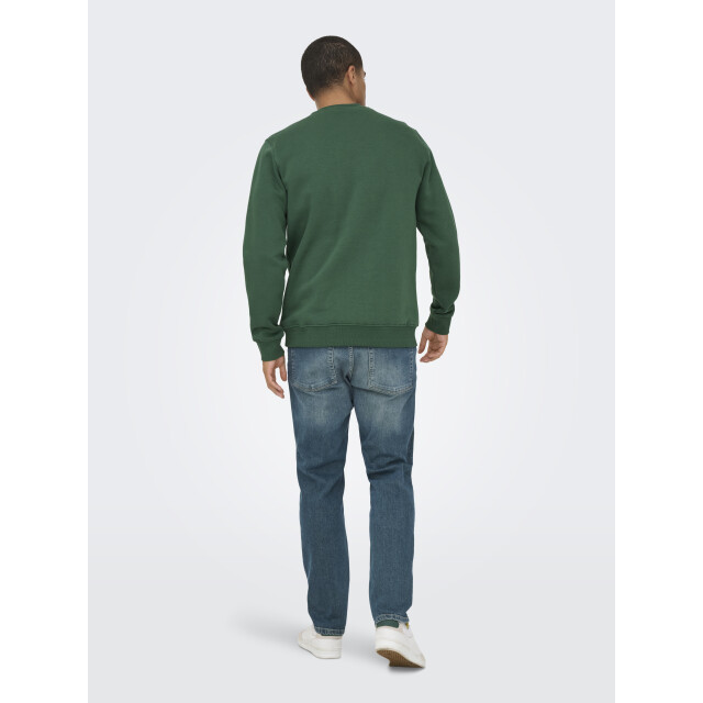Only & Sons onsconnor simple life reg ls crew s 22035961 trekking green 05735.369.0031 large
