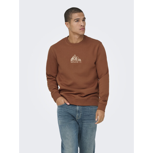 Only & Sons onsconnor simple life reg ls crew s 22035961 sequoia 05735.640.0005 large