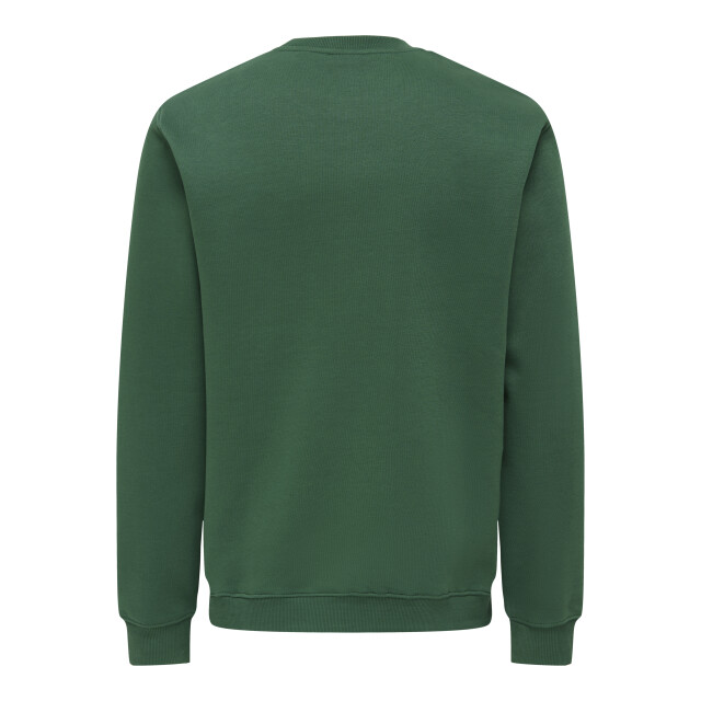 Only & Sons onsconnor simple life reg ls crew s 22035961 trekking green 05735.369.0031 large