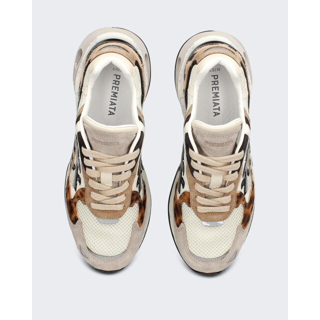 Premiata Dames sharkyd Var. 425-425 large