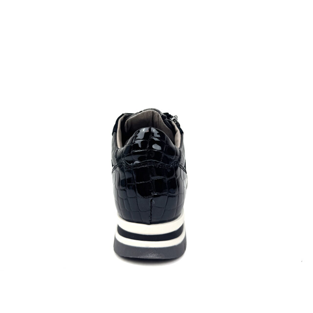 DL Sport 6725 6725 large