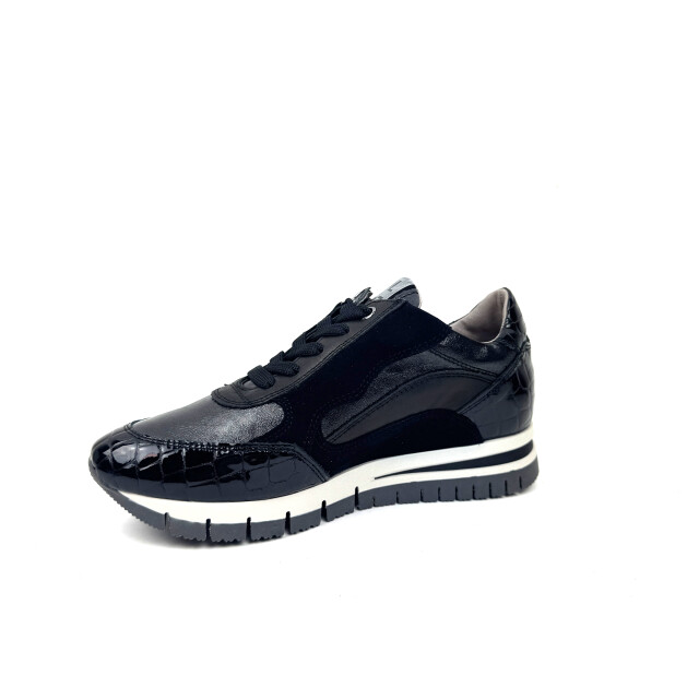 DL Sport 6725 6725 large