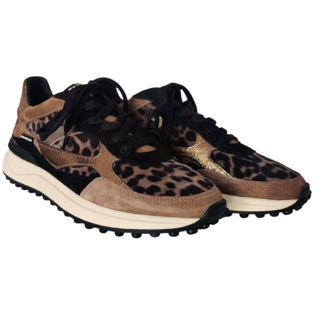 Floris van Bommel 10085-34-01 Sneakers Taupe 10085-34-01 large