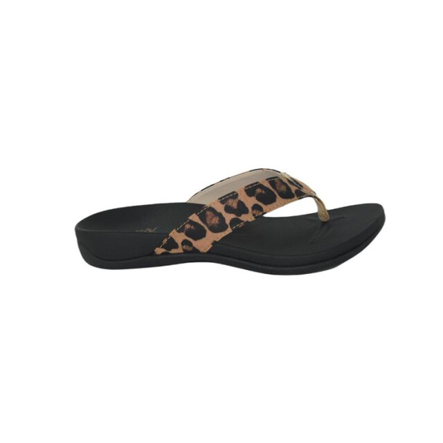 Raffas Bella 2402 Bella 2402 large Raffas Bella 2402 Bella 2402 large