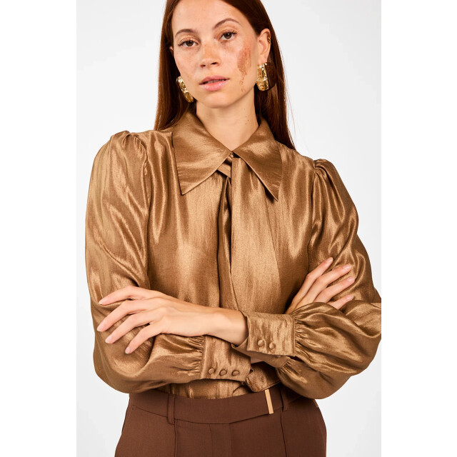 Aaiko Veronne shimm blouse VERONNE sHIMM Blouse large