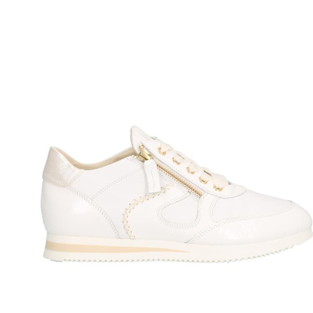 DL Sport 6564-08 6564-08 large