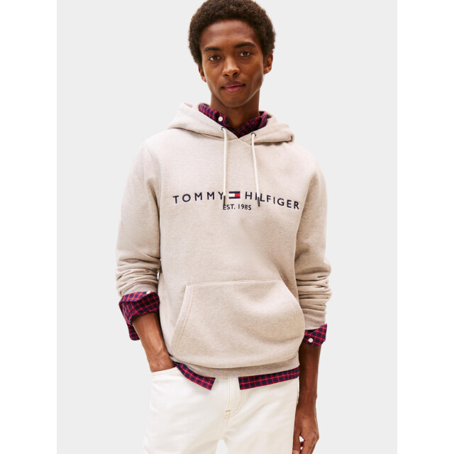 Tommy Hilfiger Hoodie tommy logo hoody mw0mw11599/h01 199141 large