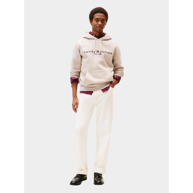 Tommy Hilfiger Hoodie tommy logo hoody mw0mw11599/h01 199141 large