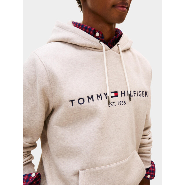 Tommy Hilfiger Hoodie tommy logo hoody mw0mw11599/h01 199141 large