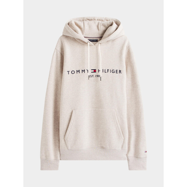Tommy Hilfiger Hoodie tommy logo hoody mw0mw11599/h01 199141 large