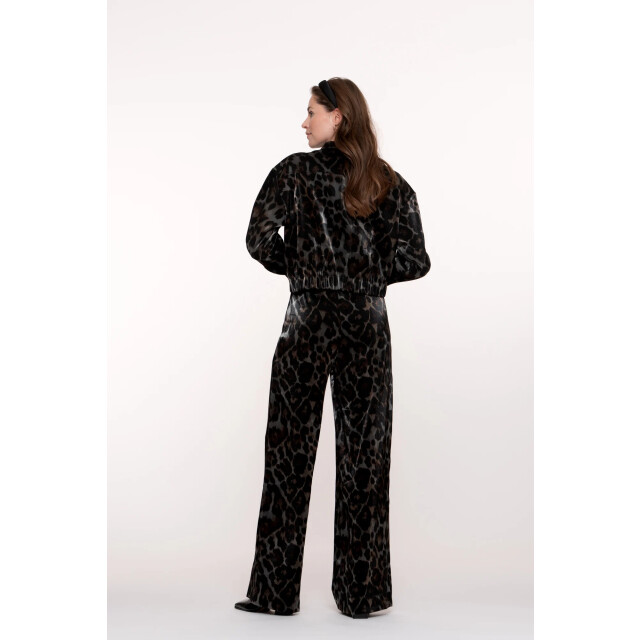 Geisha 51682-20 925 pants animal grey/bronze 51682-20 925 large