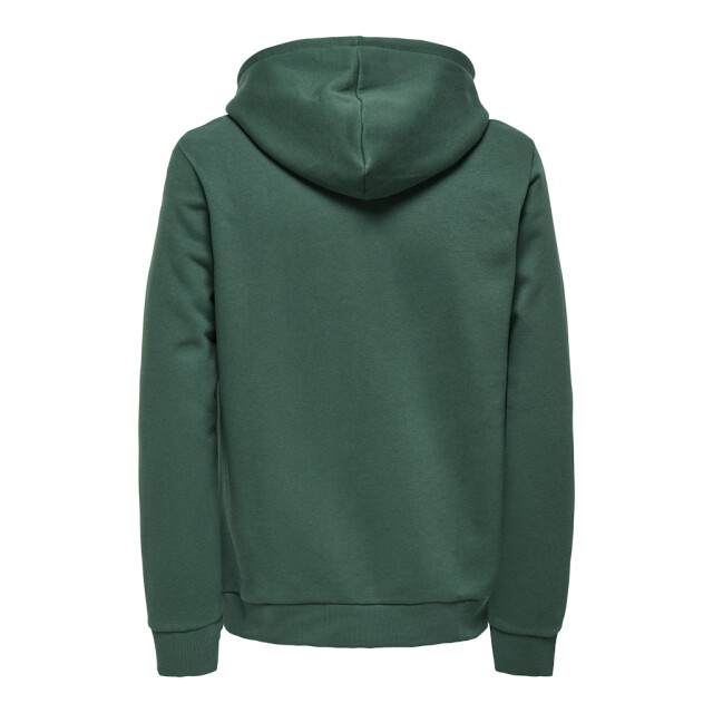 Only & Sons Onsceres kenny reg ls hoodie sweat - 5209.20.0006 large