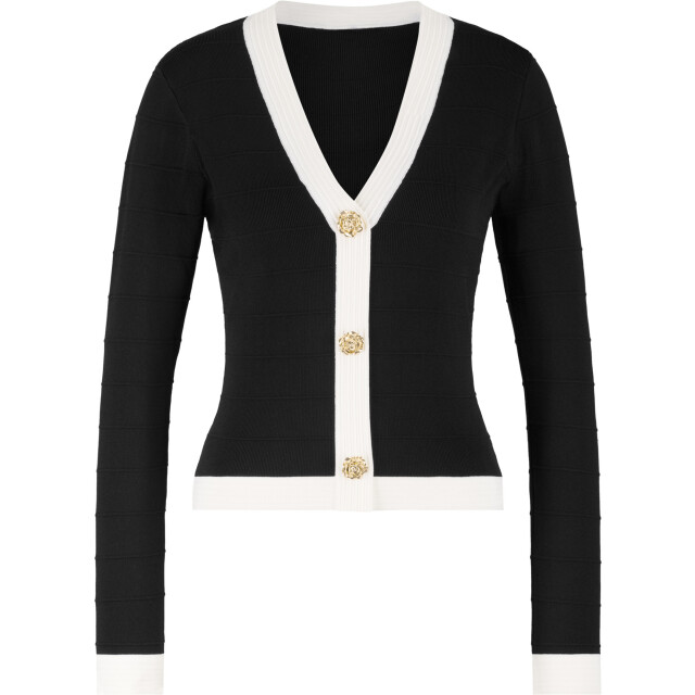 Nikkie Laos cardigan N 7-546 2505-9000 large