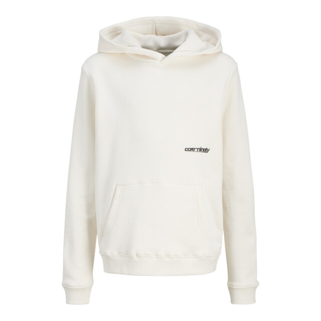 Jack & Jones Jcogrid sweat hood jnr ecru 3209.03.0001 large