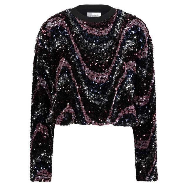 Dante 6 Top lange mouw 2531 lizy Dante 6 Top lange mouw 253136 Lizy large